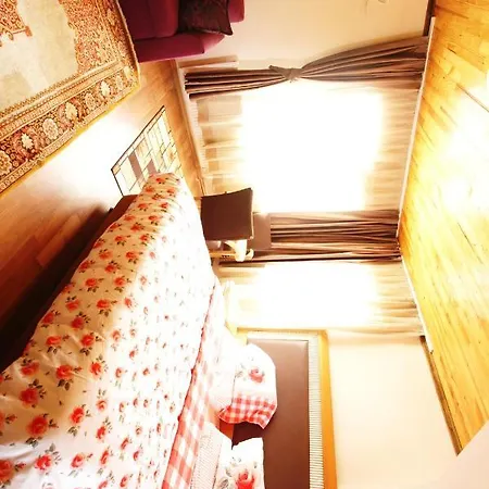 Herton Istanbul