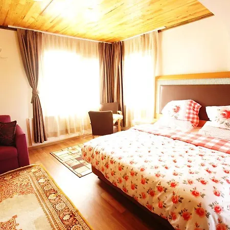 Herton Hotell Istanbul